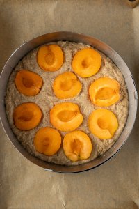 Der Aprikosenkuchen vor dem Backen in einem Backrahmen der auf ein mit Backpapier ausgelegtem Backblech steht. Die Aprikosenh&auml;lften wurden mit der Schnittfl&auml;che nach oben auf den Teig gelegt.