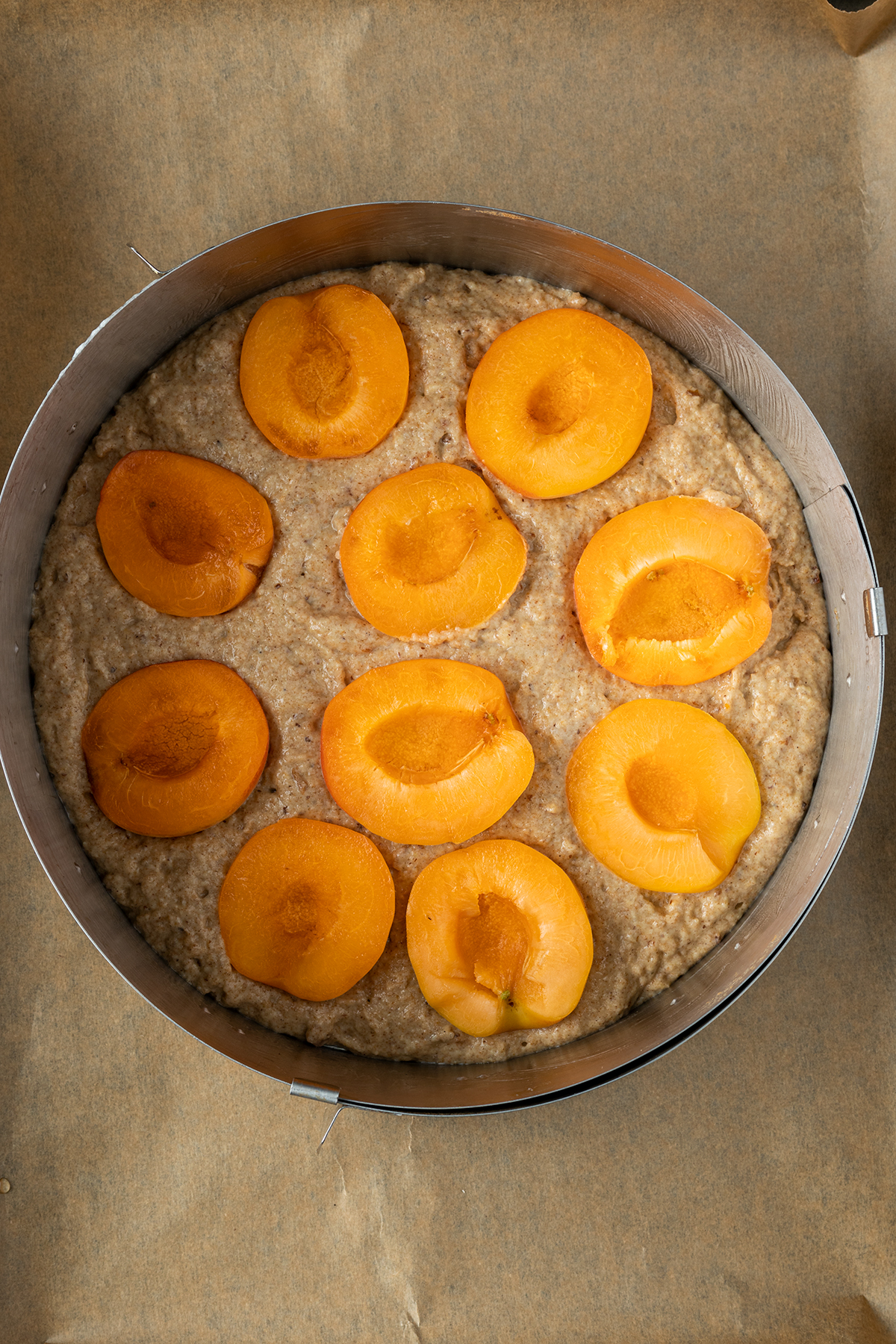 Der Aprikosenkuchen vor dem Backen in einem Backrahmen der auf ein mit Backpapier ausgelegtem Backblech steht. Die Aprikosenh&auml;lften wurden mit der Schnittfl&auml;che nach oben auf den Teig gelegt.
