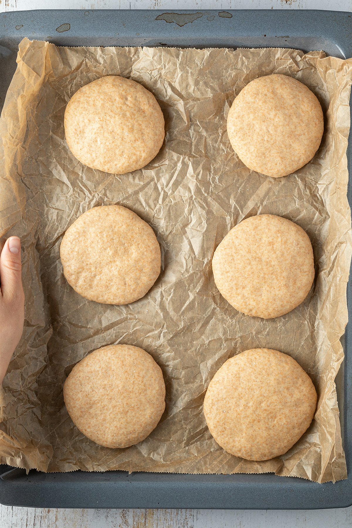 Teig f&uuml;r die Vollkorn Burger Br&ouml;tchen in sechs gleichgro&szlig;e Patties geformt auf einem Backblech mit Backpapier