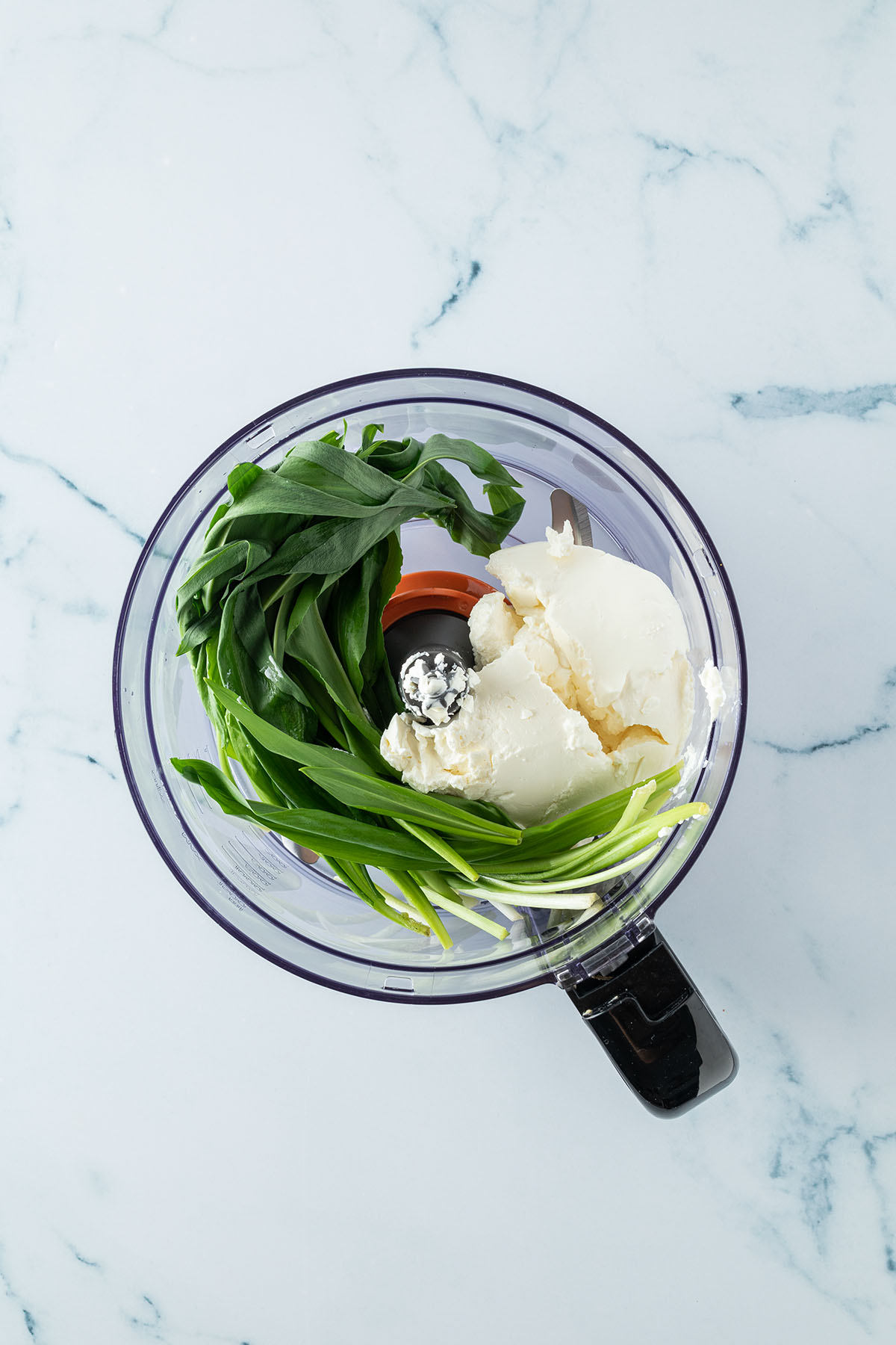 Frischer B&auml;rlauch und Frischk&auml;se in einem Food Processor.