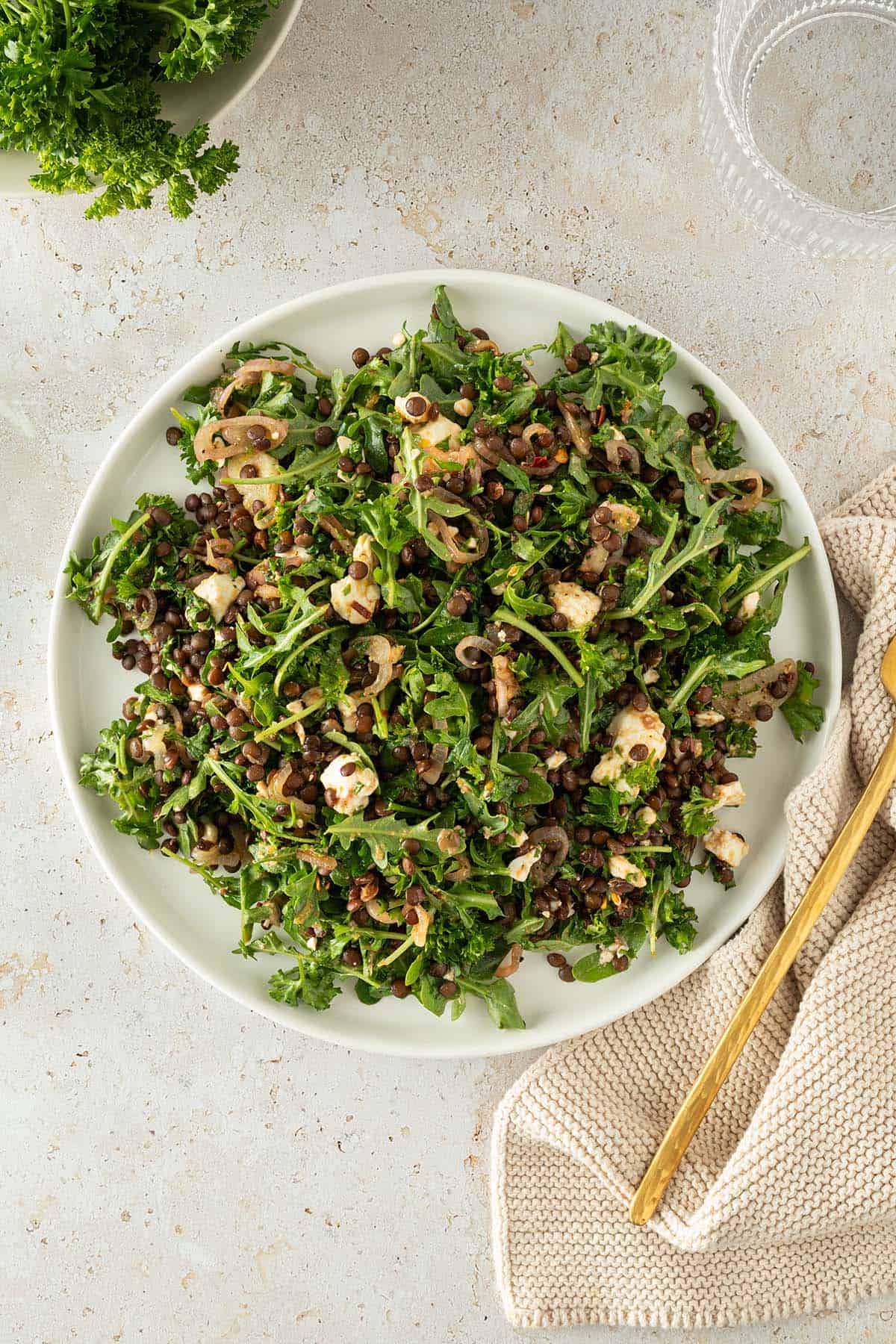 Beluga Linsensalat mit Feta, Kr&auml;uter und Rucola auf einem Teller.