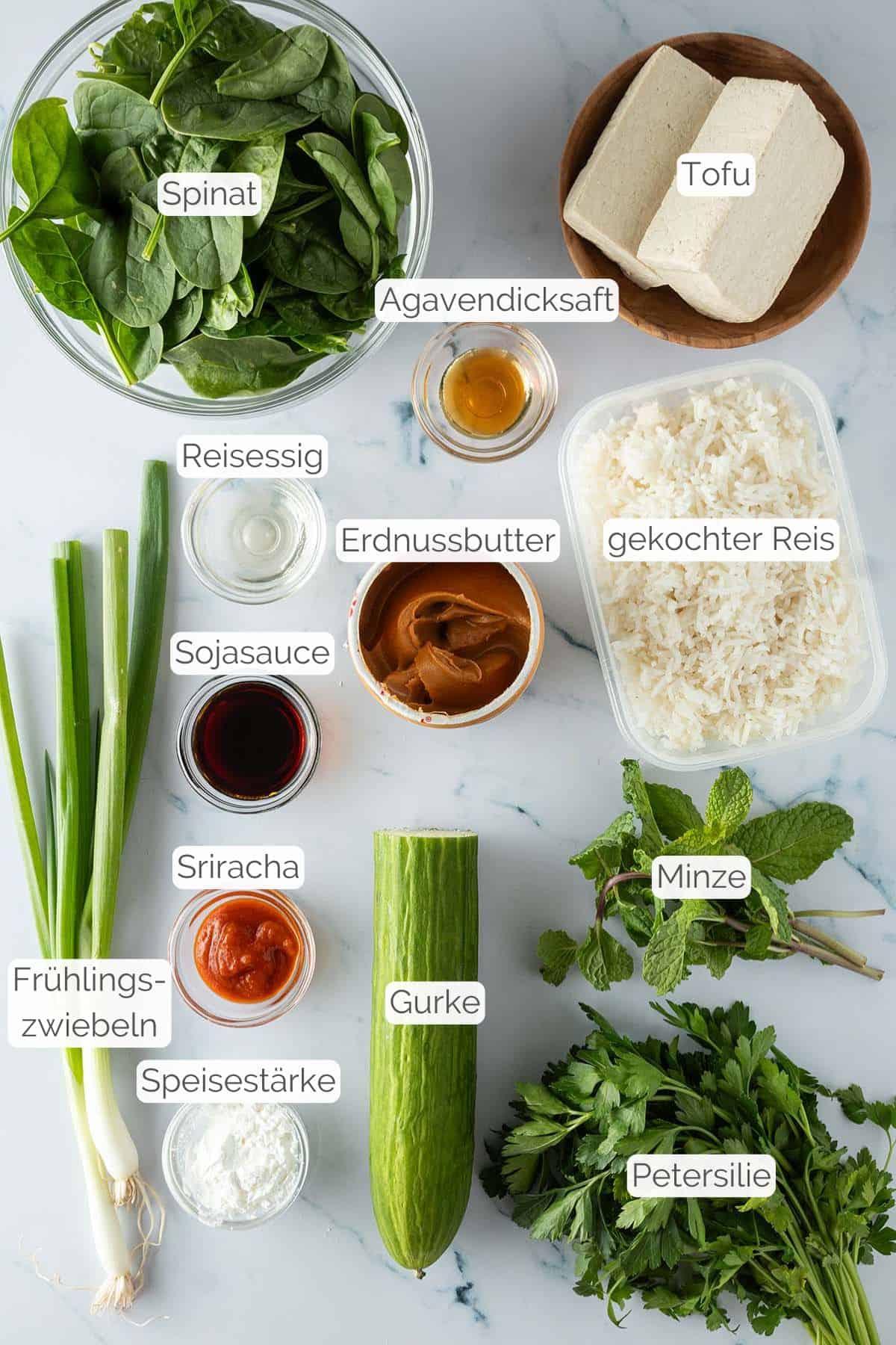 Alle Zutaten mit Textbeschriftungen, die f&uuml;r den Crispy Reissalat ben&ouml;tigt werden.
