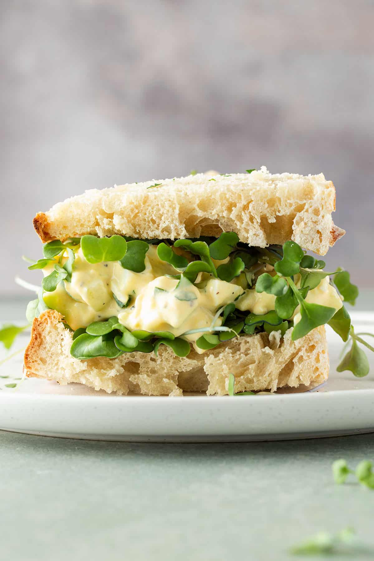Eiersalat-Sandwich mit Sprossen auf einem Teller.