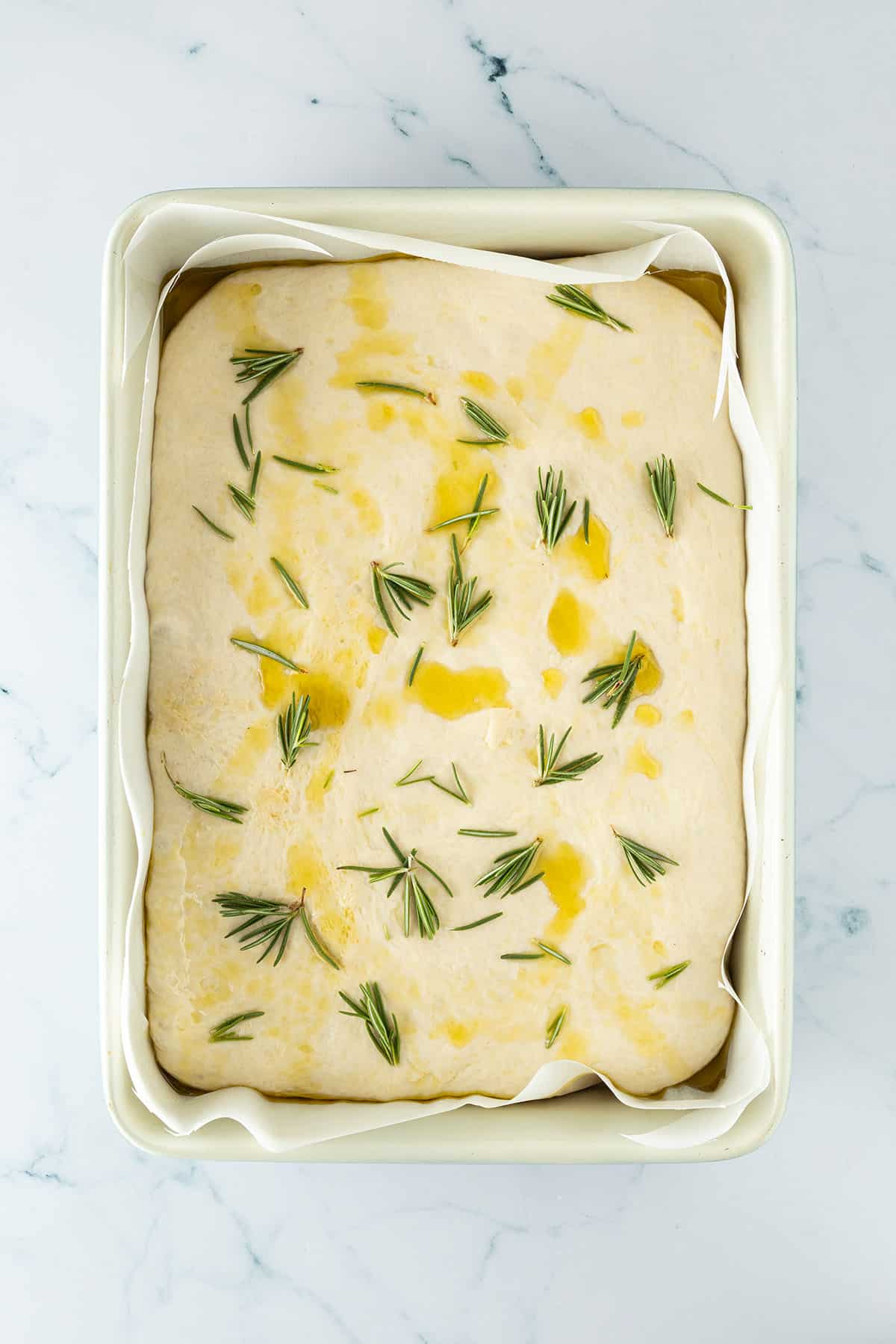 Aufgegangener Focaccia-Teig mit Oliven&ouml;l und frischem Rosmarin vor dem Eindr&uuml;cken der typischen Mulden.