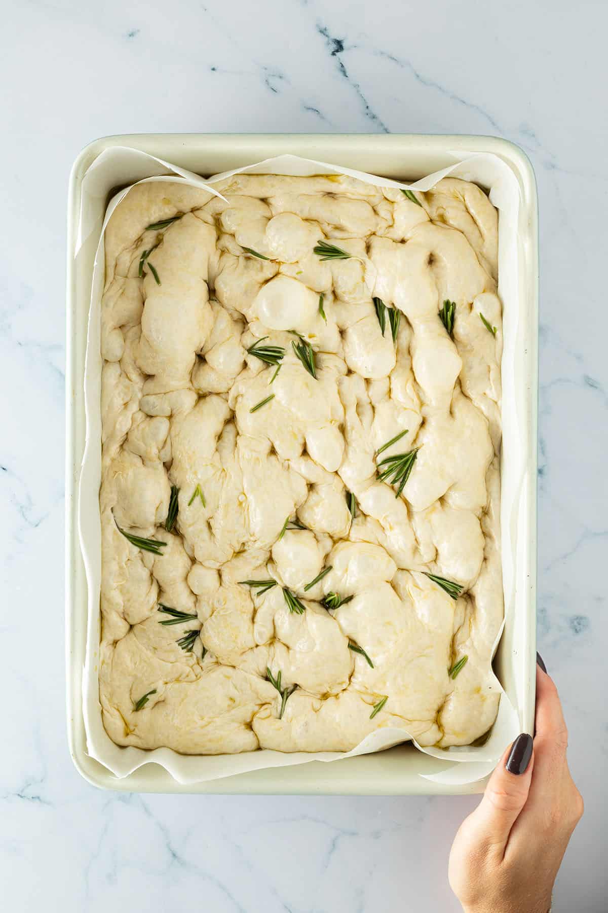 Focaccia-Teig mit Rosmarin und tief eingedr&uuml;ckten Mulden direkt vor dem Backen.