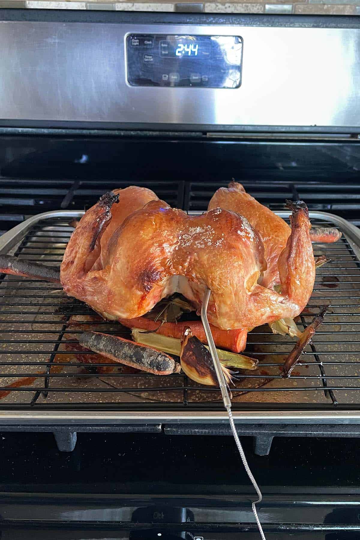 Ganzes H&auml;hnchen aus dem Ofen auf einem Ofenrost mit Gem&uuml;se und einem Thermometer in der Brust steckend.