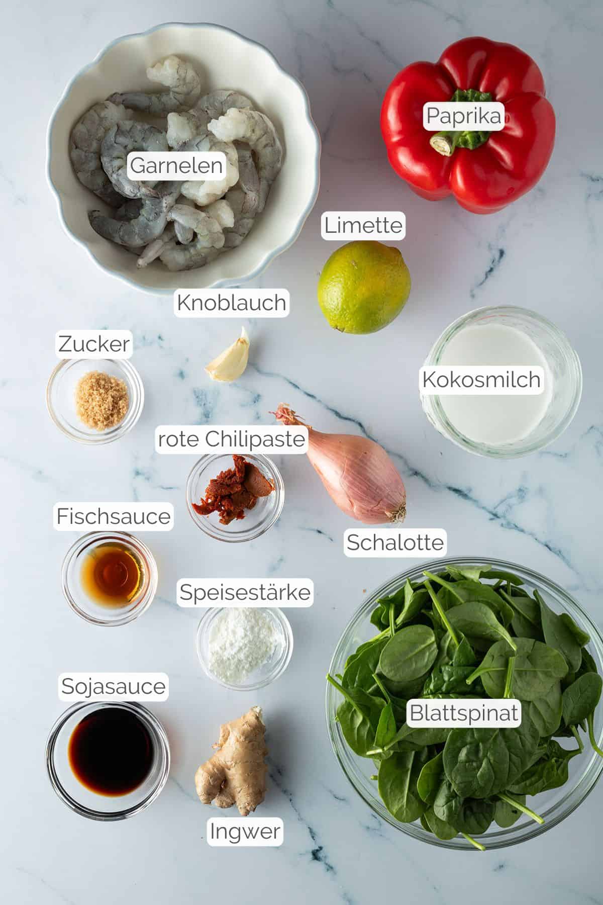 Alle Zutaten mit Textbeschriftungen, die f&uuml;r das Thai Garnelen Curry ben&ouml;tigt werden.