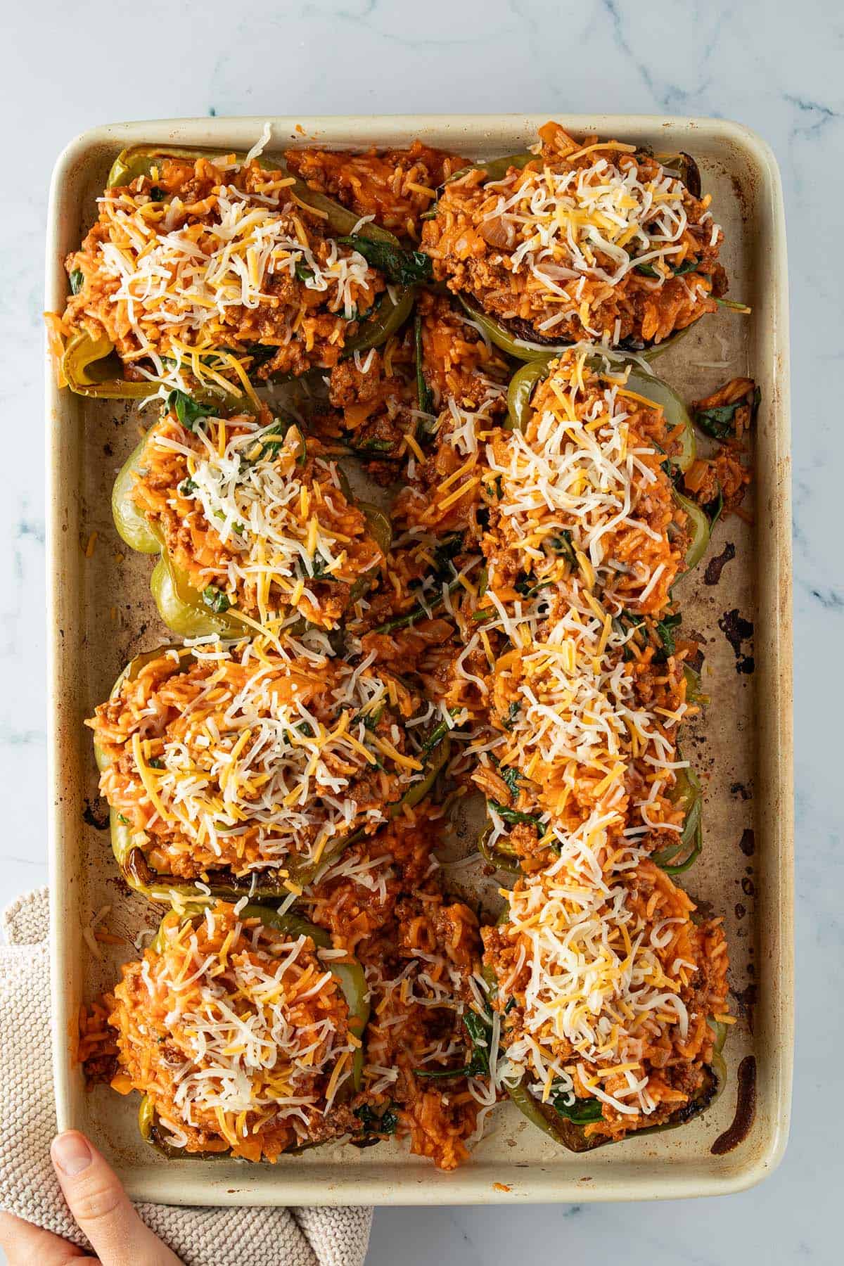 Blech mit ger&ouml;steten und mit Hackfleisch-Reis-Pfanne gef&uuml;llten Paprikah&auml;ften, die mit K&auml;se bestreut wurden.