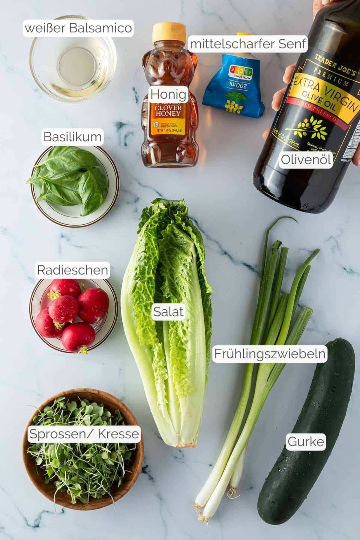 Alle Zutaten mit Textbeschriftungen, die f&uuml;r den gemischten Salat ben&ouml;tigt werden.