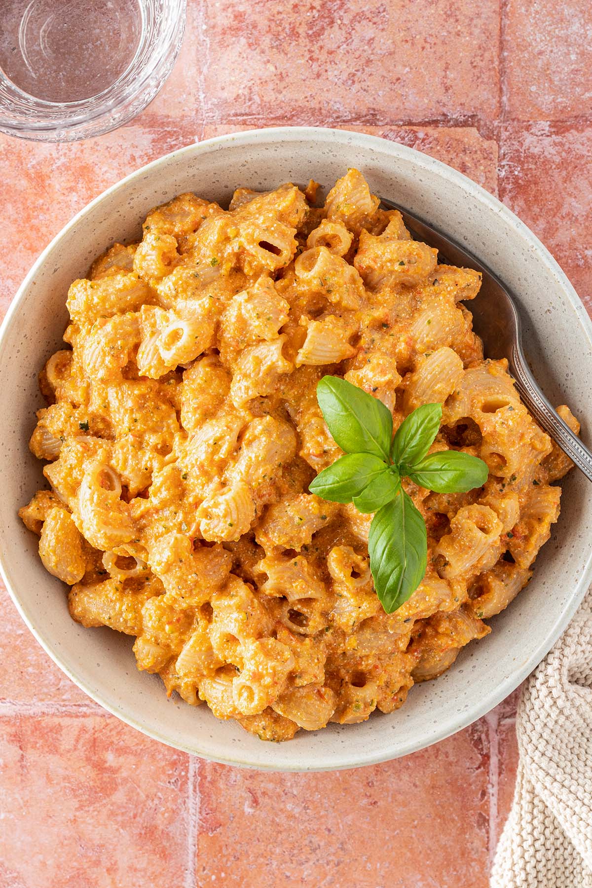 Ein Teller Nudeln mit einer cremigen Pastasauce auf einem roten Flie&szlig;enuntergrund.