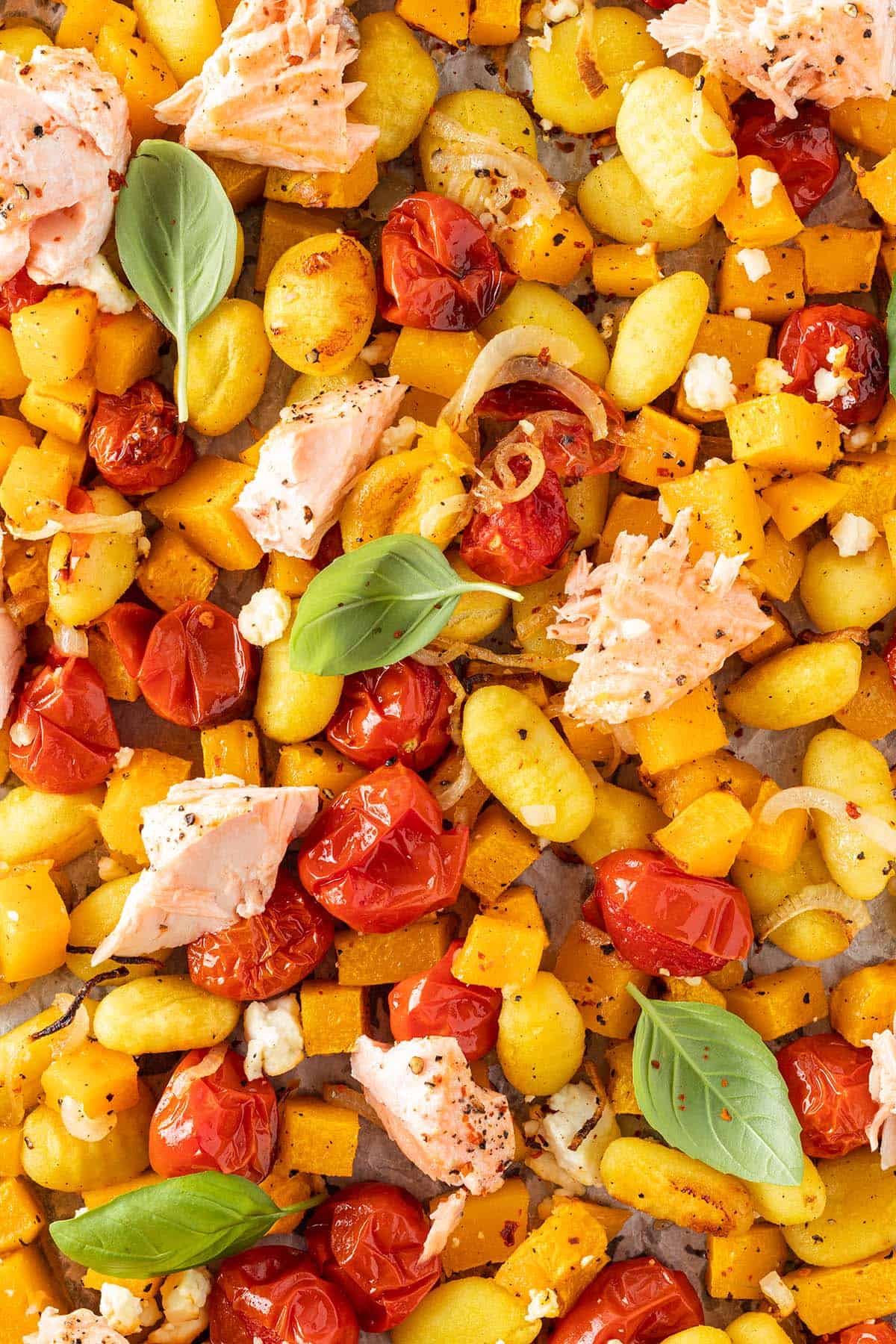 Nahaufnahme von einem One Blech Rezept mit Gnocchi, K&uuml;rbis, Feta Tomaten und Lachs.