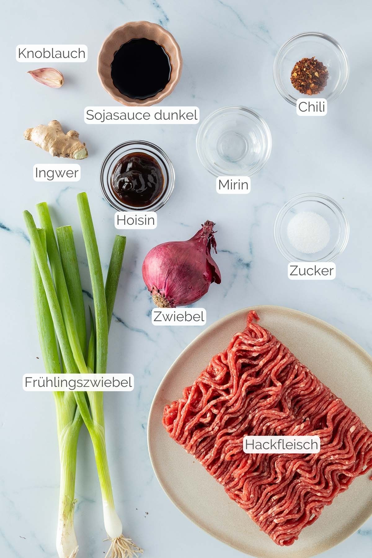 Foto aller Zutaten mit jeweiligen Textbeschriftungen, die f&uuml;r das asiatische Hackfleisch ben&ouml;tigt werden.