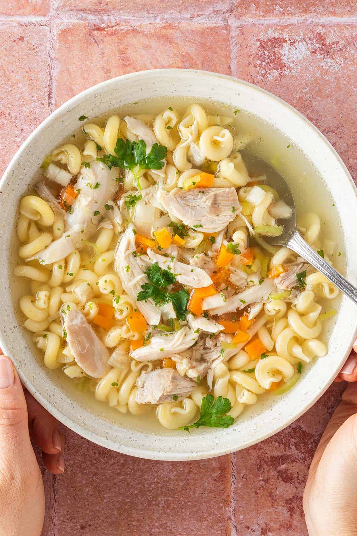 Eine Sch&uuml;ssel H&uuml;hnersuppe mit H&auml;hnchenfleisch, Gem&uuml;se und Suppennudeln in einem tiefen Teller.