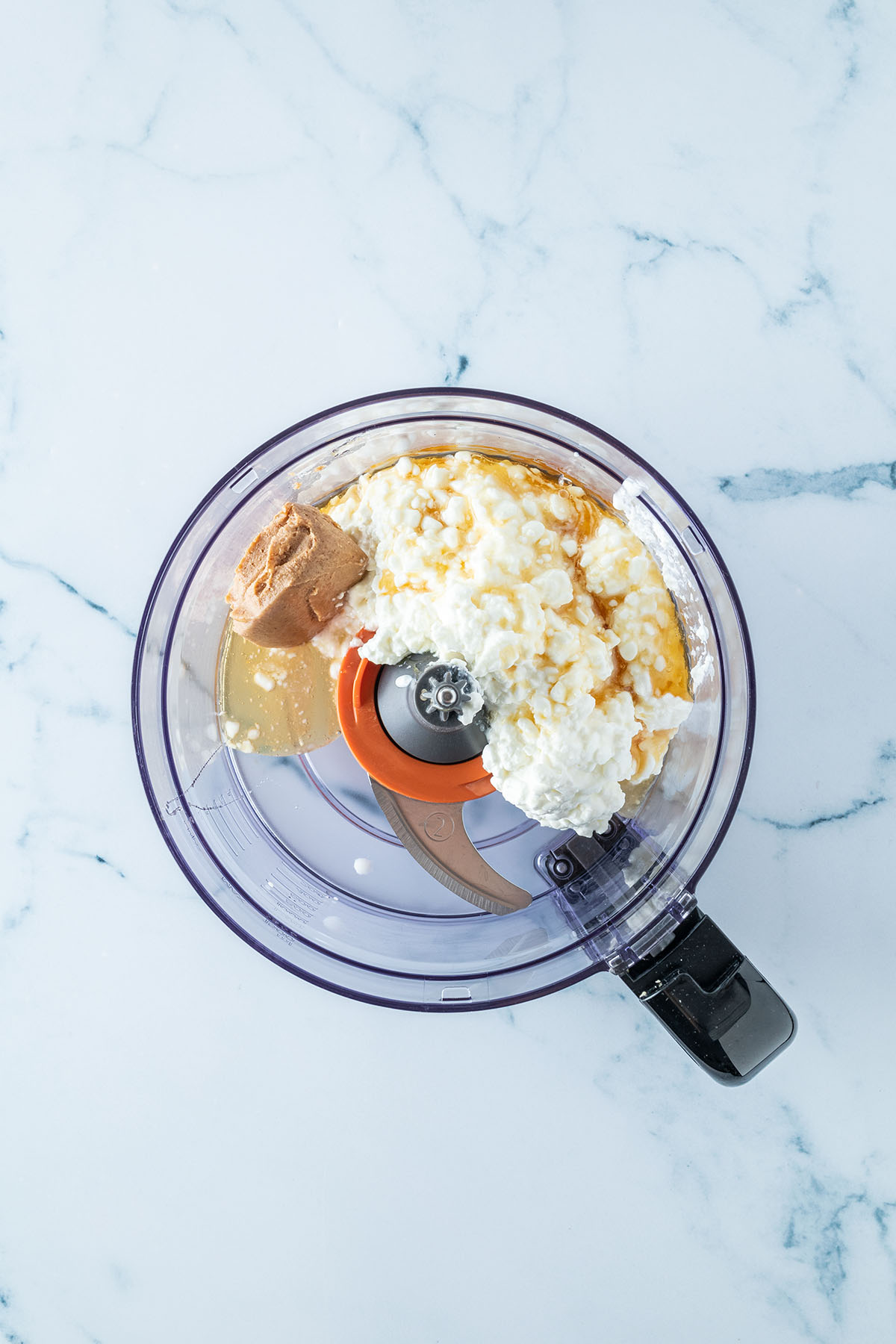 Zutaten f&uuml;r das Eis in einem Mixer.