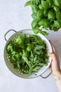 Ein Seiher mit frischem Rucola und Basilikum, daneben ein Strauch Basilikum.