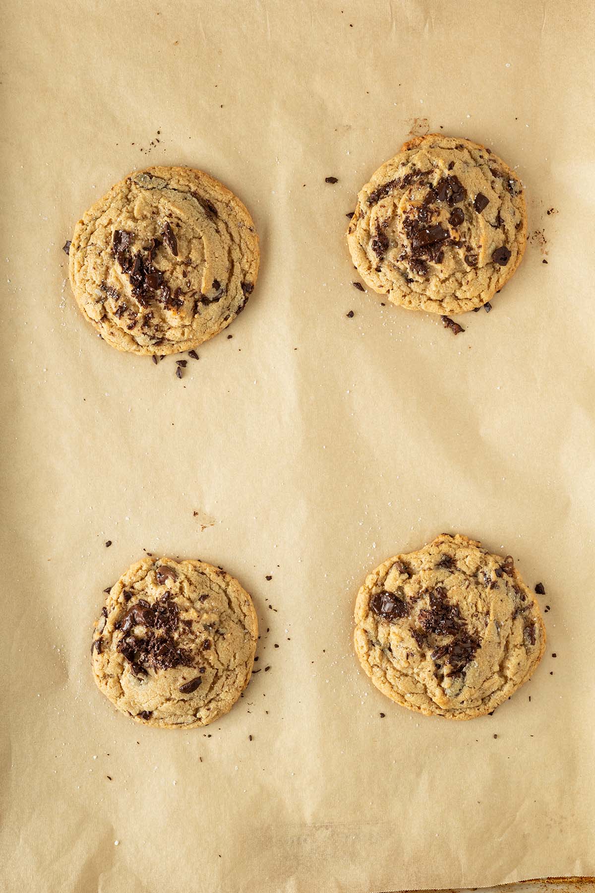 Vier goldbraune Chocolate Chip Cookies 15 Minuten nach dem Backen, mit geschmolzenen Schokost&uuml;ckchen auf einem mit Backpapier ausgelegtem Blech.