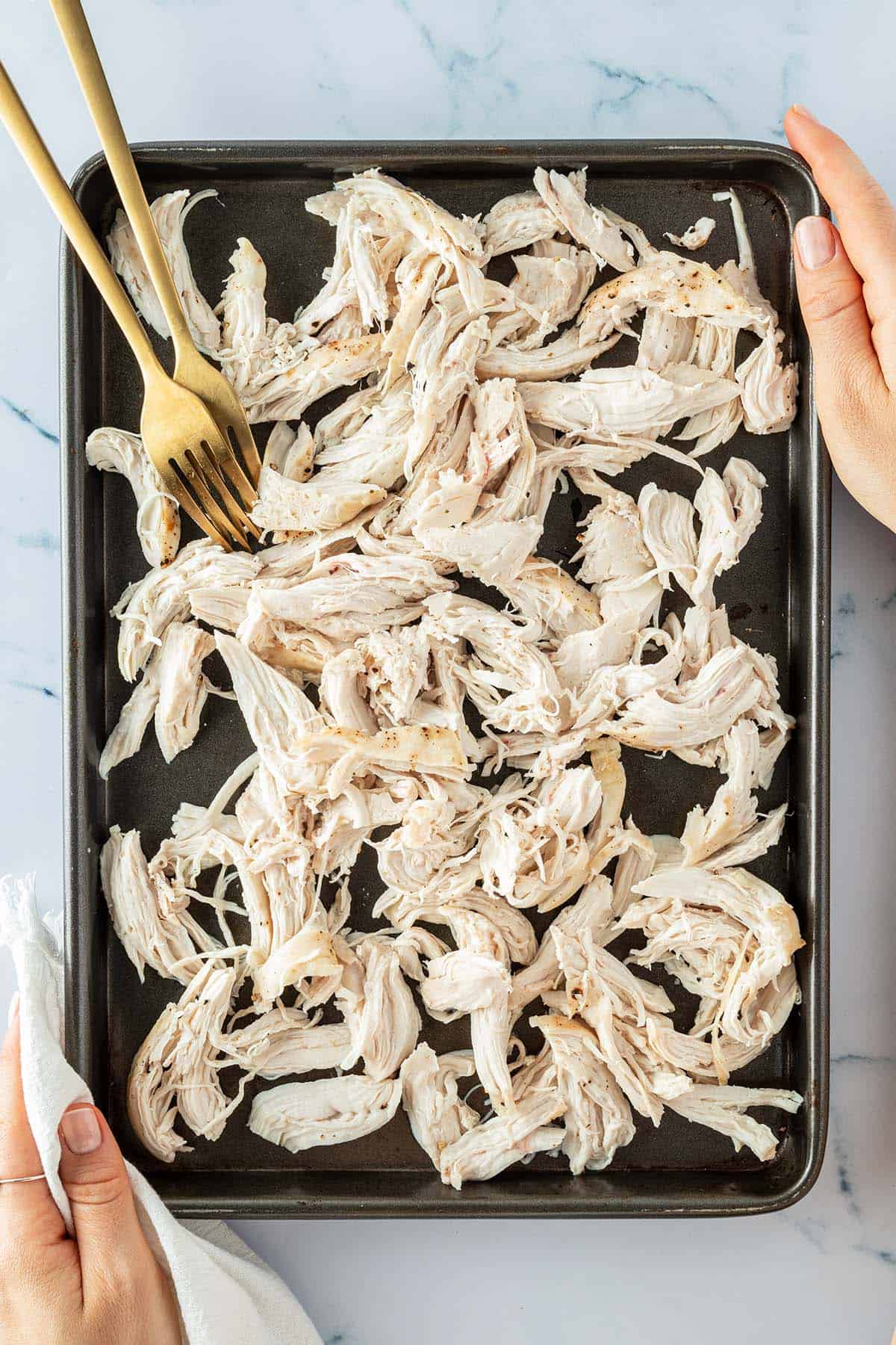 Pulled Chicken auf einem Blech mit zwei Gabeln zwei H&auml;nde im Bildrand, die das Blech halten.