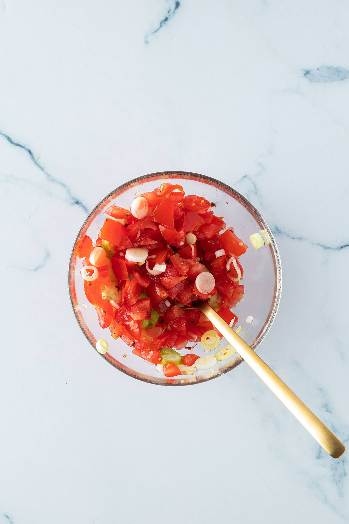 Sch&uuml;ssel mit einer frischen Tomatensalsa mit Fr&uuml;hlingszwiebeln.