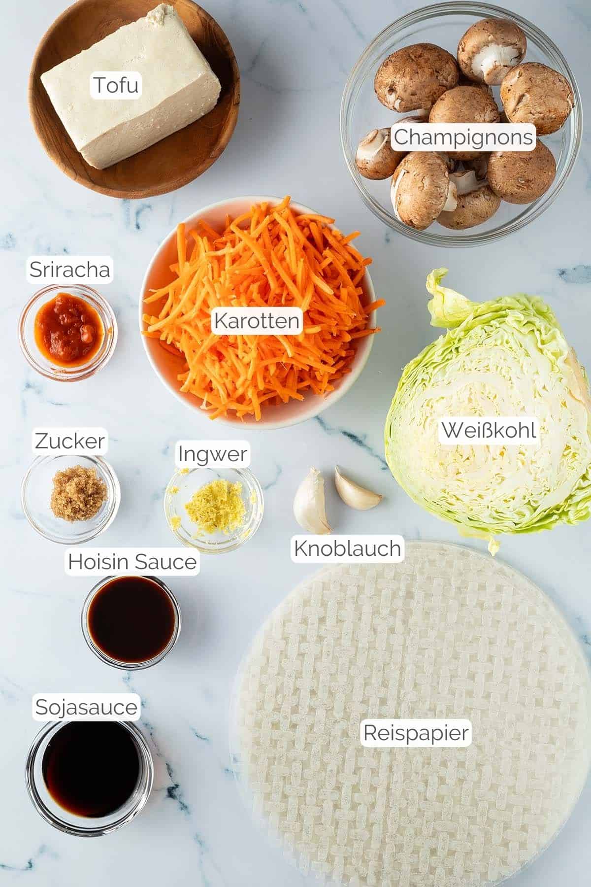 Alle Zutaten mit Textbeschriftungen, die f&uuml;r die vegetarischen Reispapier Dumplings ben&ouml;tigst werden.