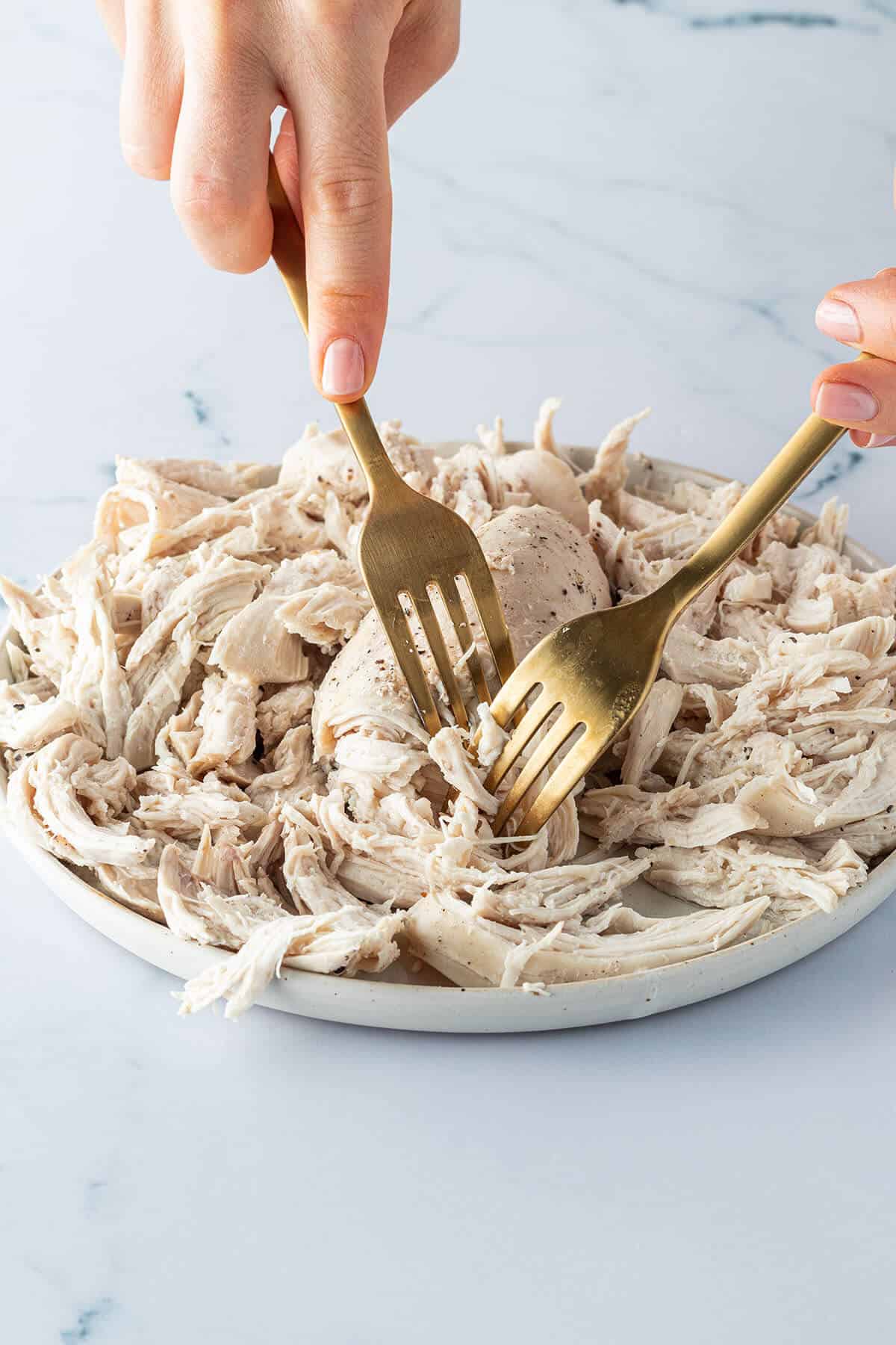 Gekochte H&auml;hnchenfilets werden mit zwei Gabeln in kleine Fasern gerissen.