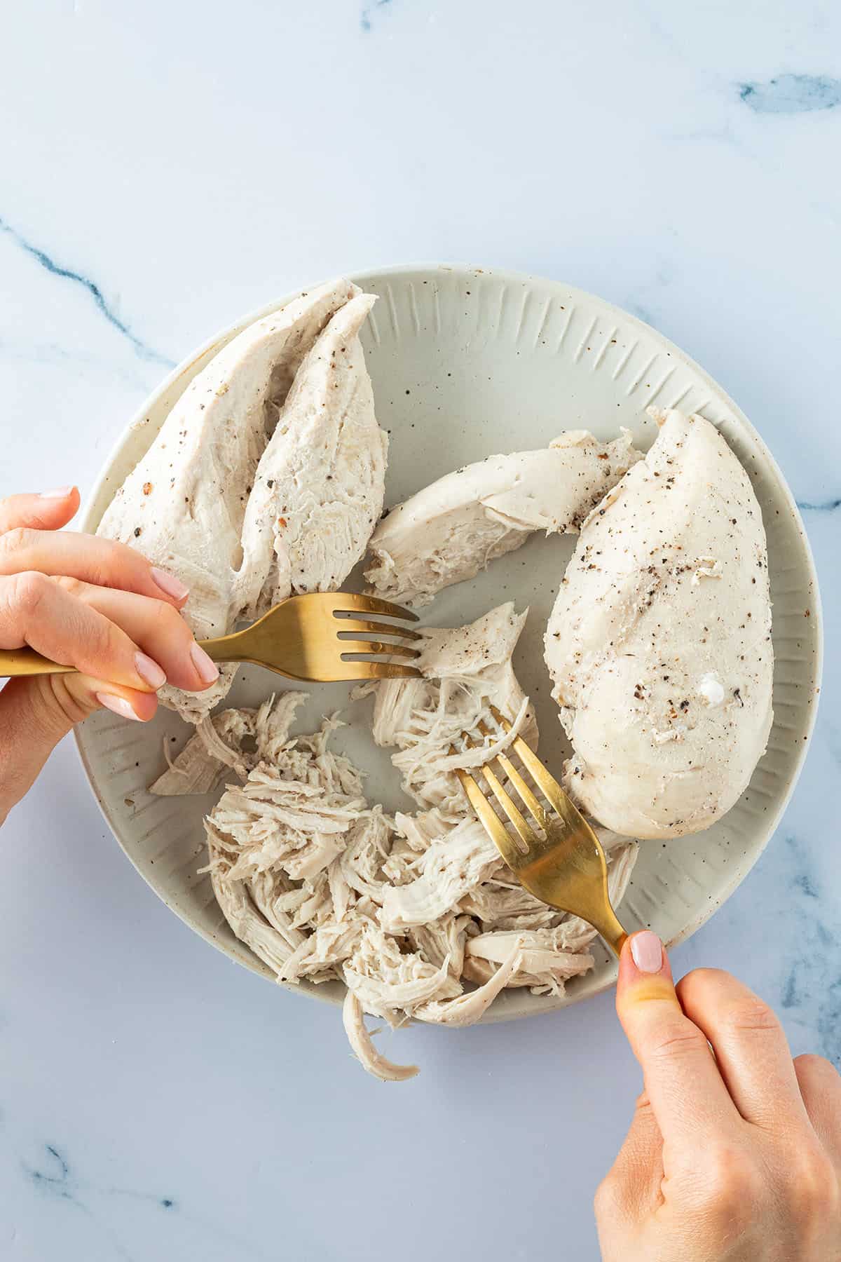 Gekochte H&auml;hnchenfilets werden mit zwei Gabeln zerrissen.