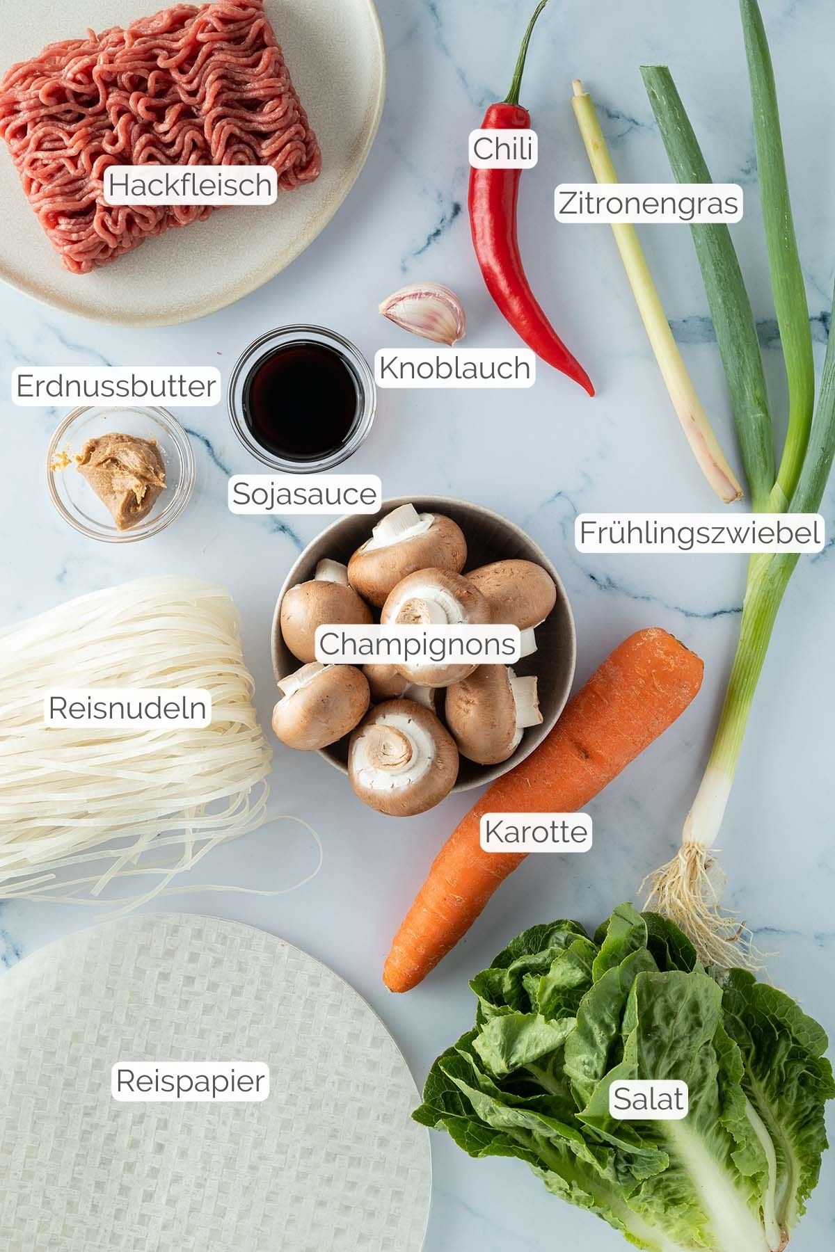 Foto aller Zutaten mit jeweiligen Textbeschriftungen, die f&uuml;r Sommerrollen mit Hackfleisch ben&ouml;tigt werden.