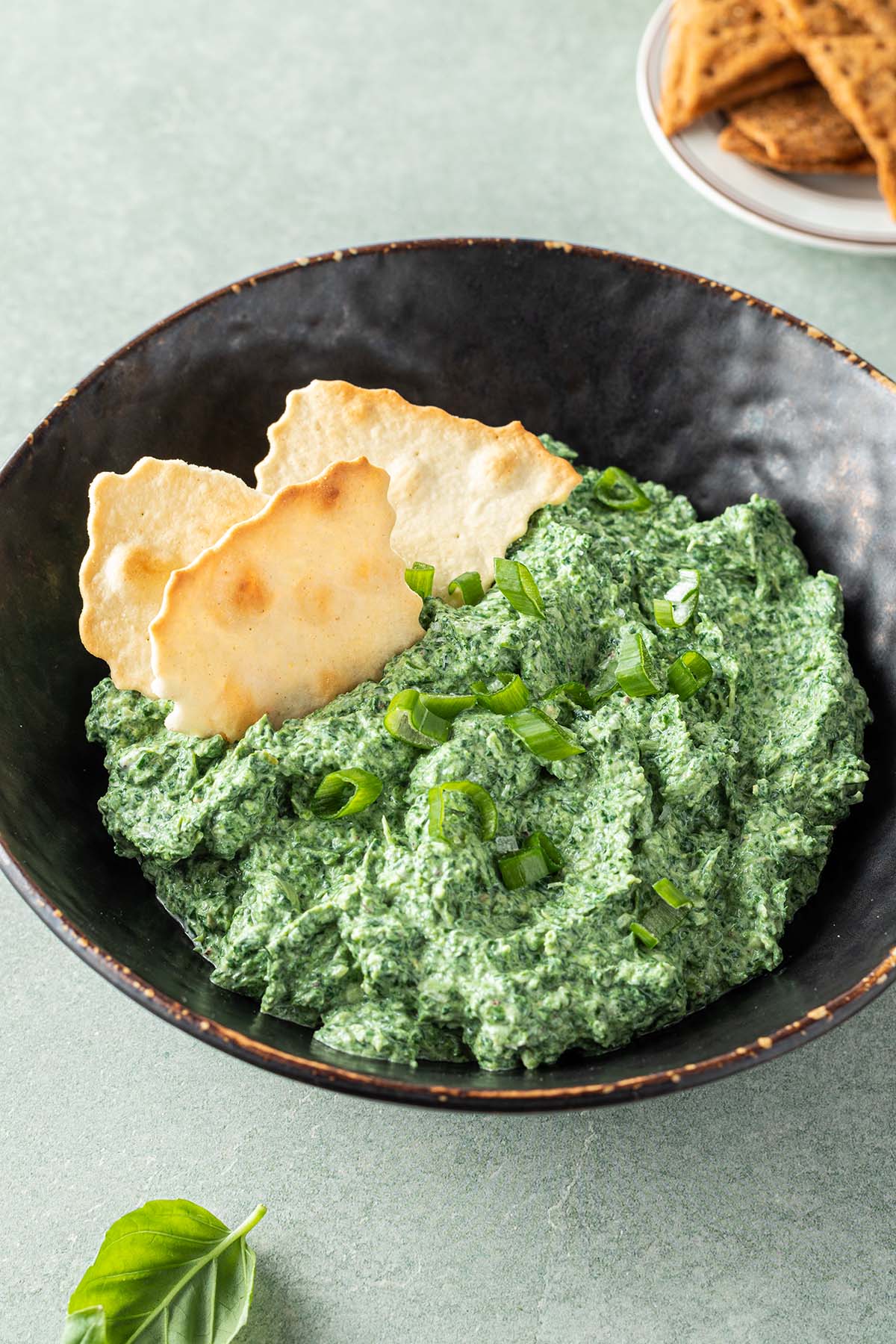 Cremiger Spinatdip in einer Sch&uuml;ssel mit Fr&uuml;hlingszwiebeln und Crackern serviert.