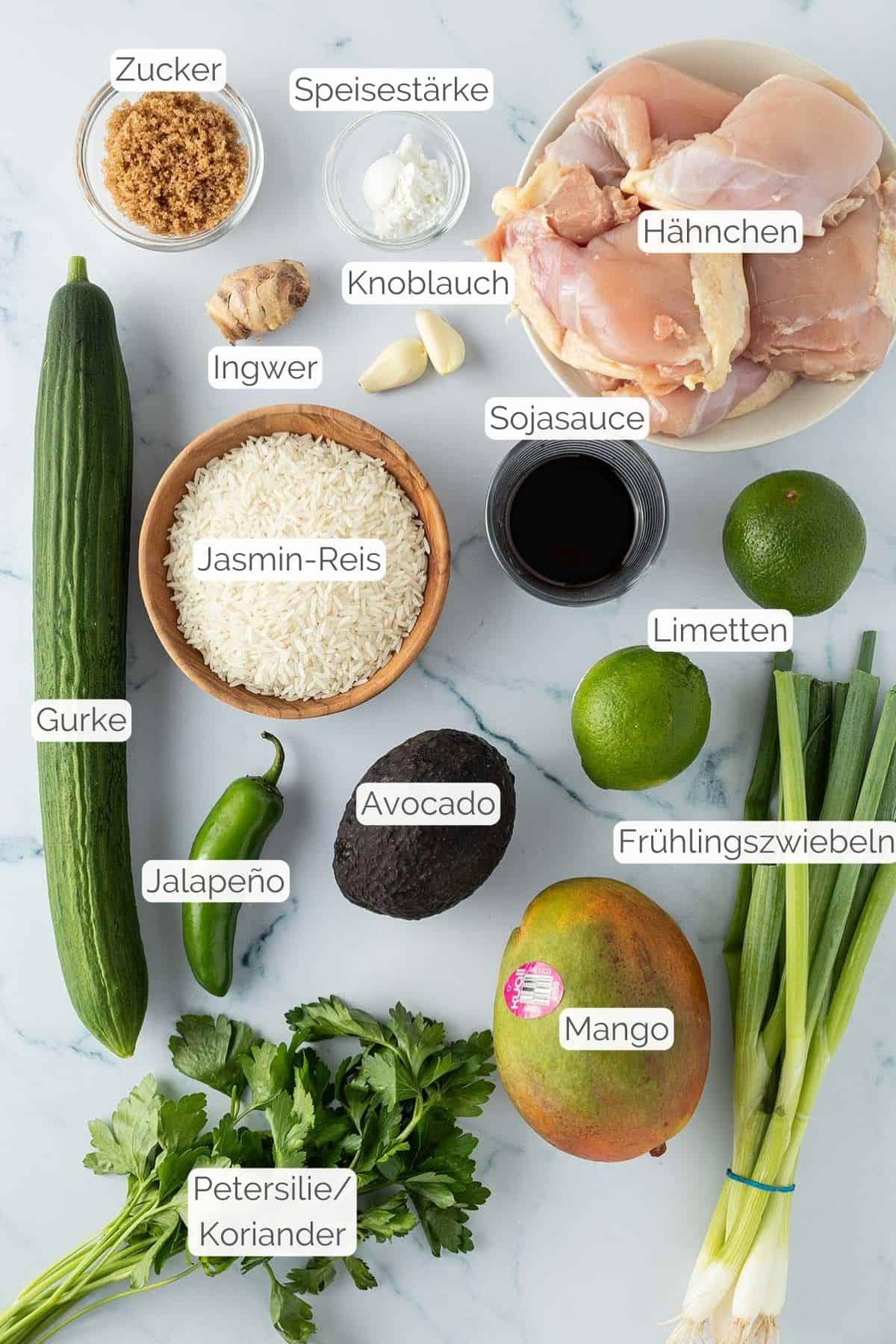 Alle Zutaten mit Textbeschriftungen, die f&uuml;r die Teriyaki Bowl ben&ouml;tigt werden.