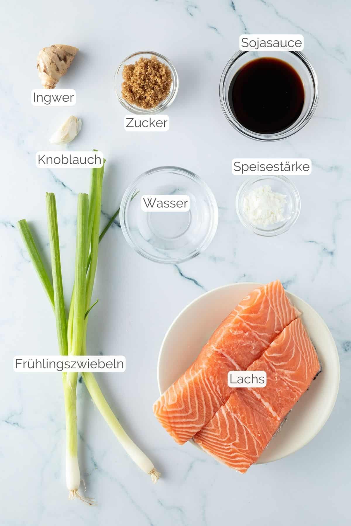 Alle Zutaten mit Textbeschriftungen, die f&uuml;r den Teriyaki Lachs ben&ouml;tigt werden.