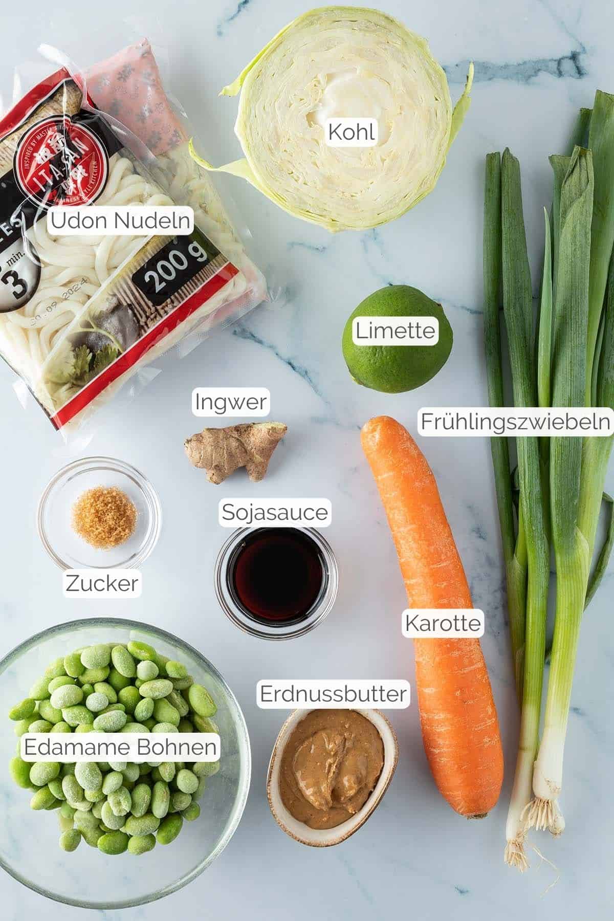 Alle Zutaten mit jeweiligen Textbeschriftungen, die f&uuml;r den asiatischen Nudelsalat ben&ouml;tigt werden.
