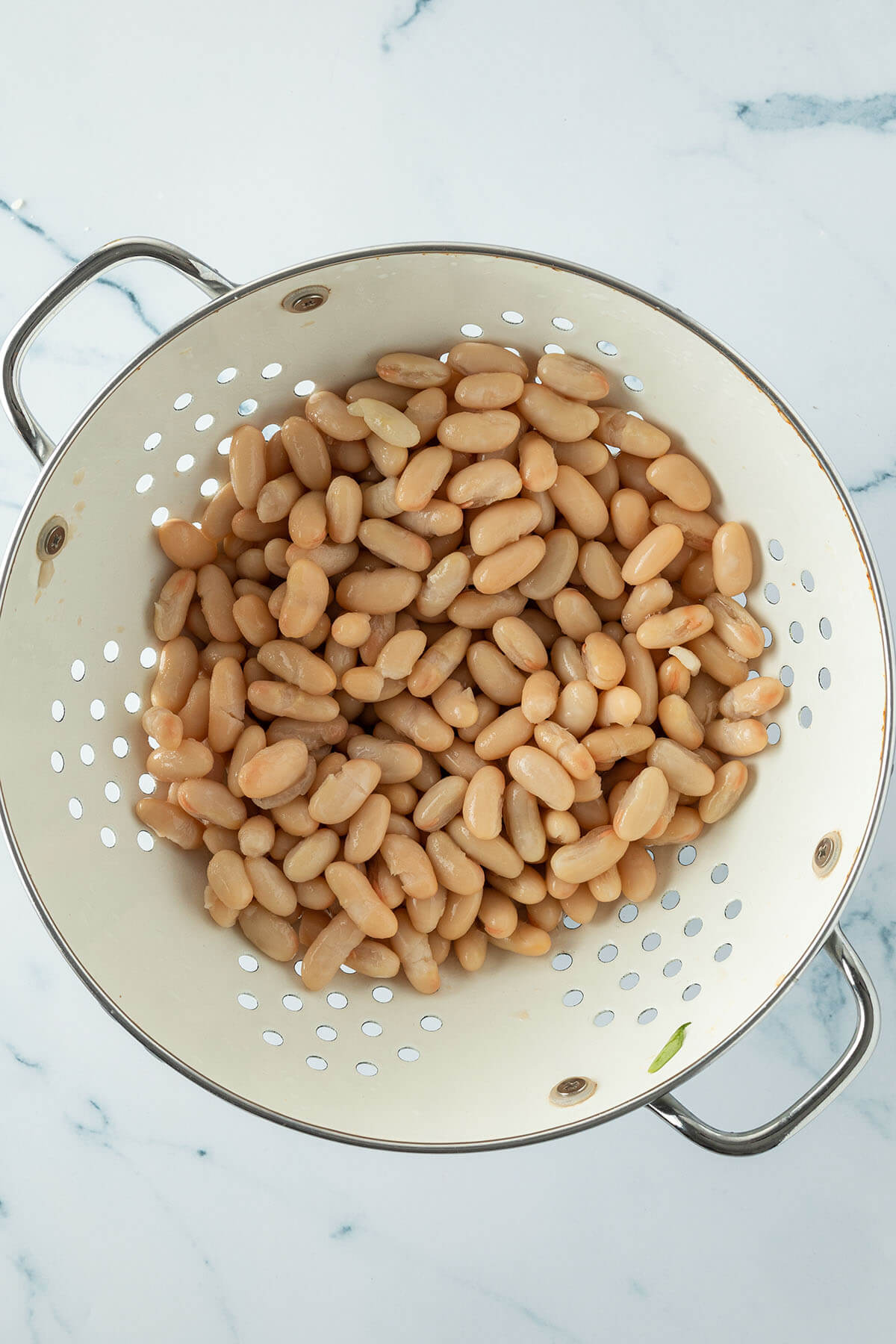Gekochte Cannellini Bohnen aus der Dose in einem wei&szlig;en, gro&szlig;en Seiher.